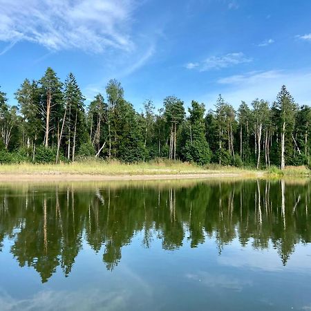 Вилла Metsaraeaegu Wellness Ulendi Экстерьер фото