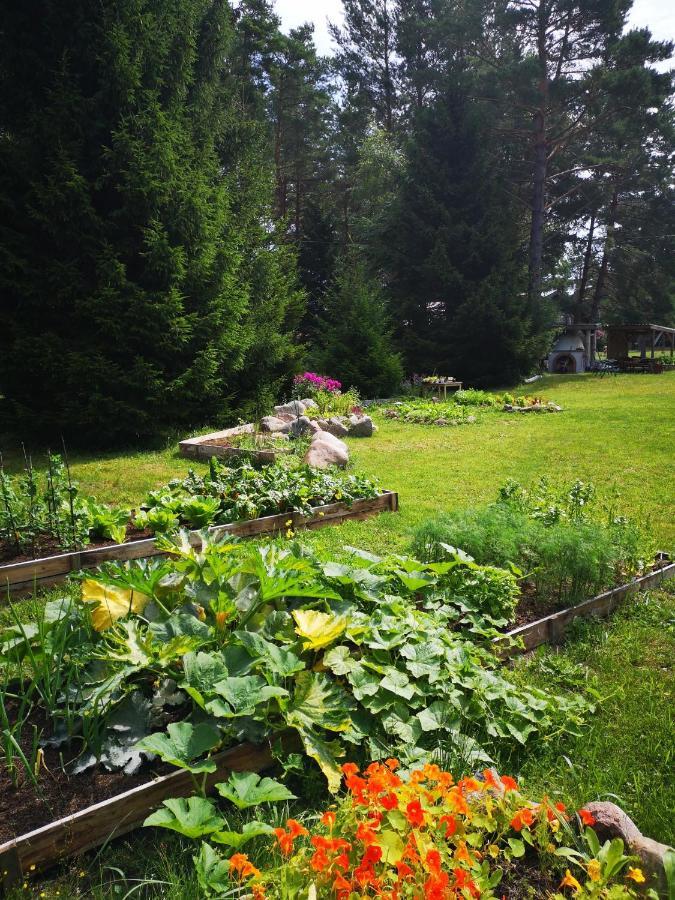 Вилла Metsaraeaegu Wellness Ulendi Экстерьер фото