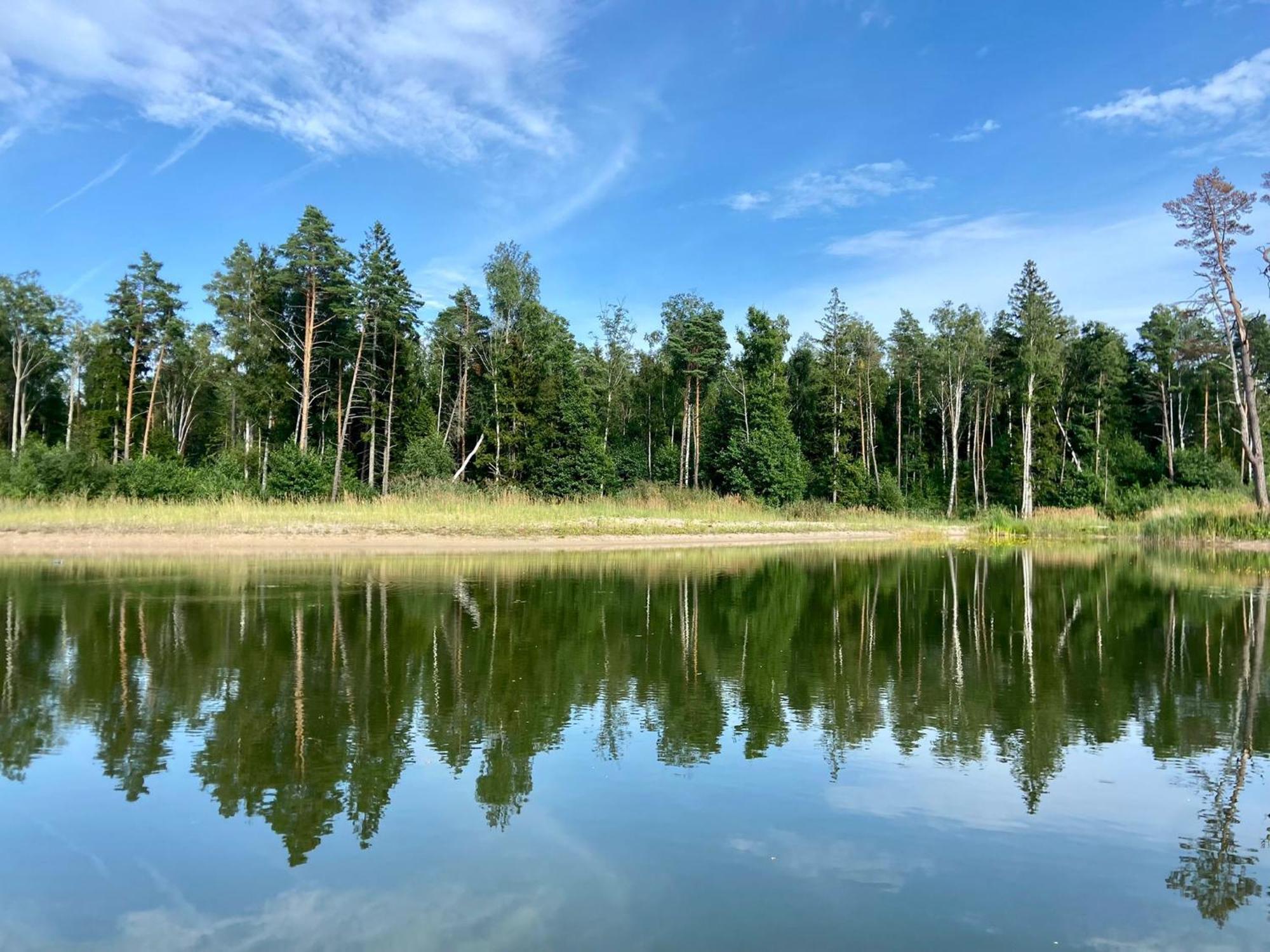 Вилла Metsaraeaegu Wellness Ulendi Экстерьер фото